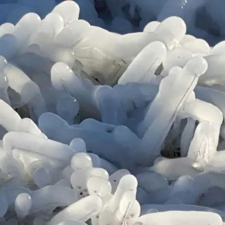 Drachenberg Apartamento *