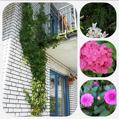 Drachenberg Apartamento Sassnitz